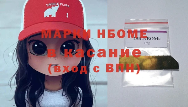 a pvp Бородино