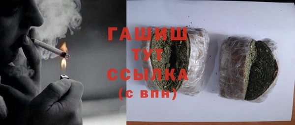 a pvp Бородино