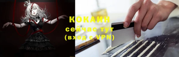 a pvp Бородино