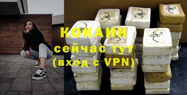 a pvp Бородино