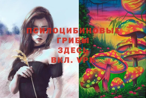 jwh Бронницы