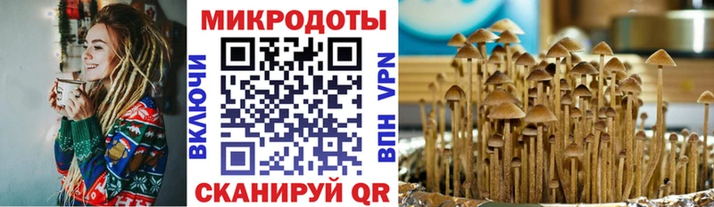 Галлюциногенные грибы Magic Shrooms  Бугуруслан 